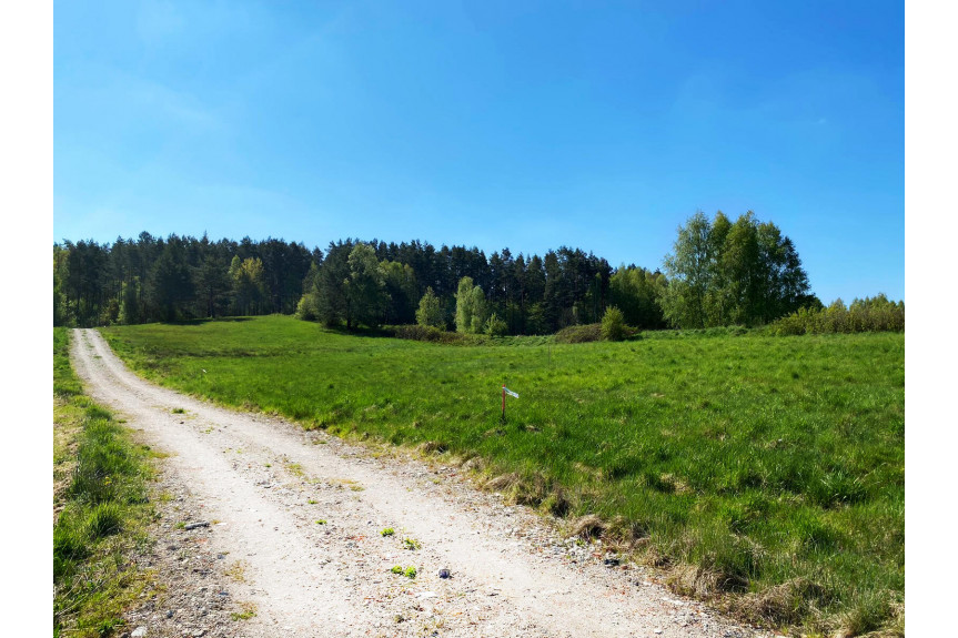 olsztyński, Gietrzwałd, Woryty, Działka Rekreacyjna, Jezioro, Las, Warmia, Gietrzwałd